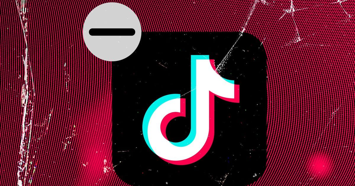 TikTok Users Bid Farewell to 'Personal Chinese Spy' Amid Possible Ban